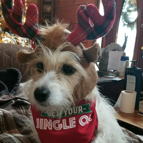 Meet your Posher, Michelle - Picture 1 of 1